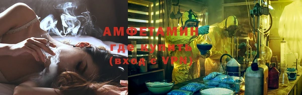 шишки Осташков