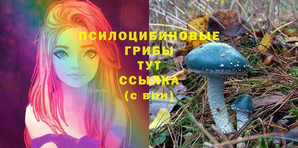 метамфетамин Няндома
