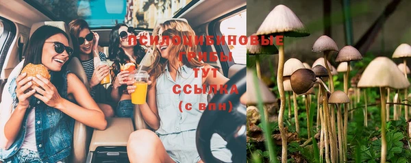 PSILOCYBIN Остров