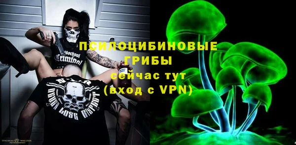 PSILOCYBIN Остров