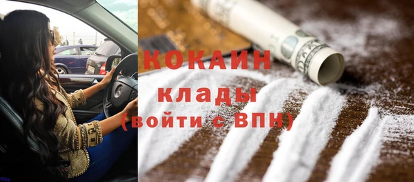 дмт Осинники