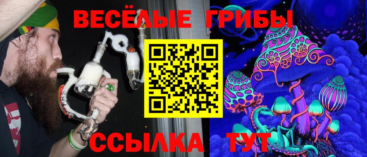 Мегион  Галлюциногенные грибы прущие грибы  купить   Вход с VPN 